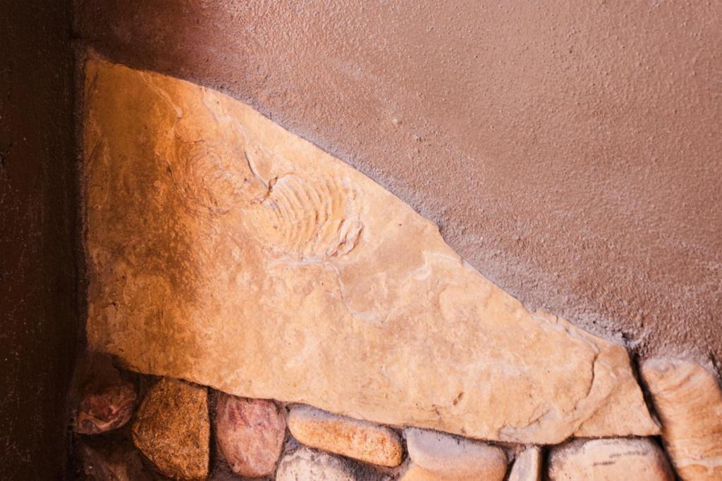 特灵瓜Casa Piedra ⁠ — Short Drive From Big Bend别墅 外观 照片